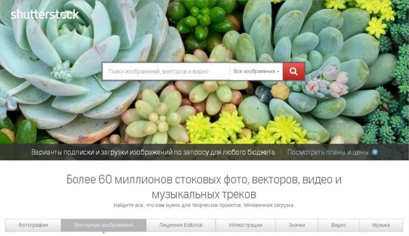 Изображенния из шаттерсток для печати картин на холсте